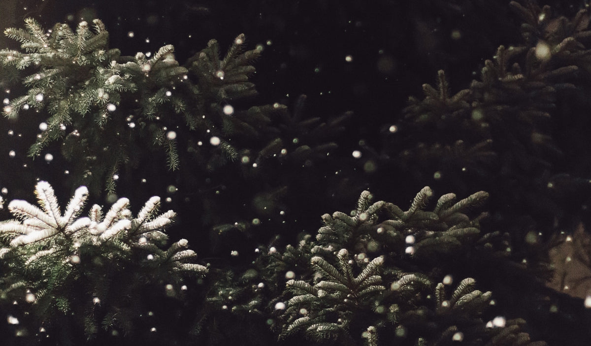 Séléction de Noël