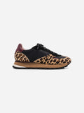 B6 Safari - Black